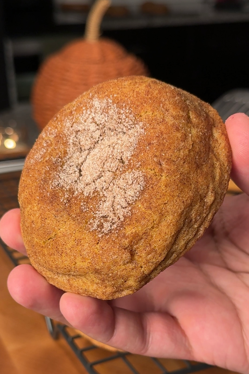 a hand holding a snickerdoodle